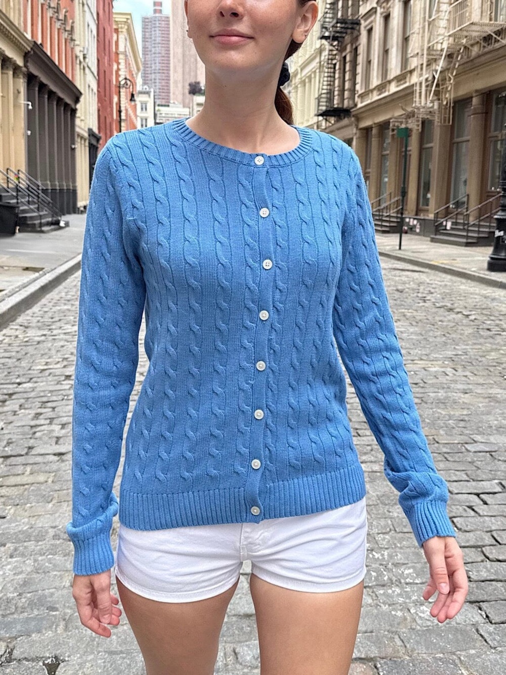 Brandy Melville Blue Cable Knit Button-Up Sweater